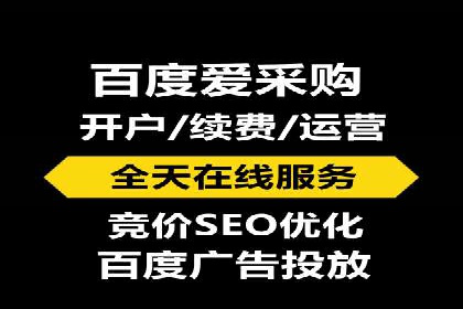 某某sem推广公司在某行业的应用与效果分析